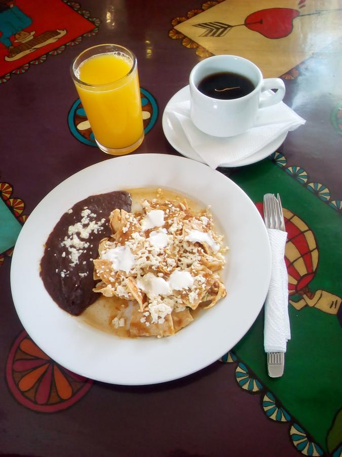Posada Del Cafeto Xalapa Dış mekan fotoğraf