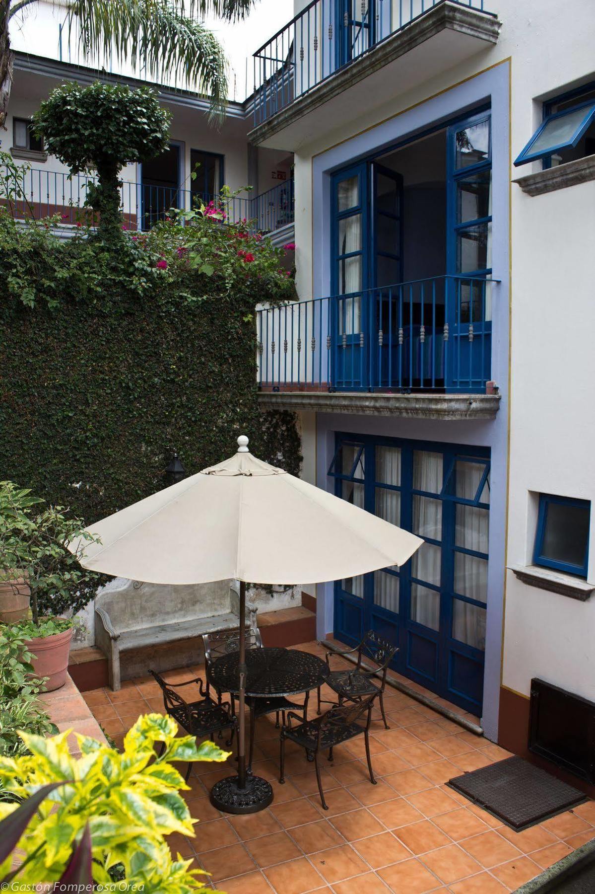 Posada Del Cafeto Xalapa Dış mekan fotoğraf