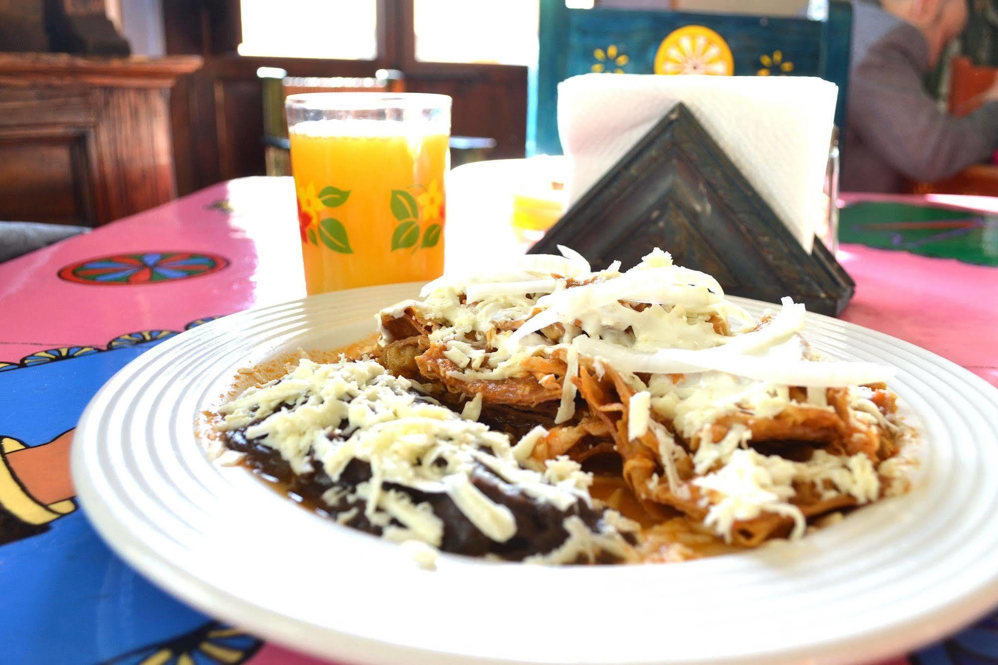 Posada Del Cafeto Xalapa Dış mekan fotoğraf